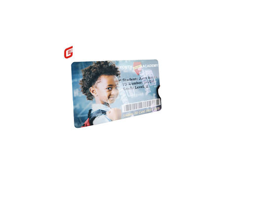 Zilveren parelvormig anti-vervalsings lint voor Zebra ZC300 ZC100 Plastic Card Printer
