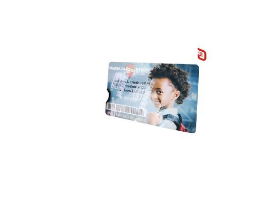 Zilveren parelvormig anti-vervalsings lint voor Zebra ZC300 ZC100 Plastic Card Printer