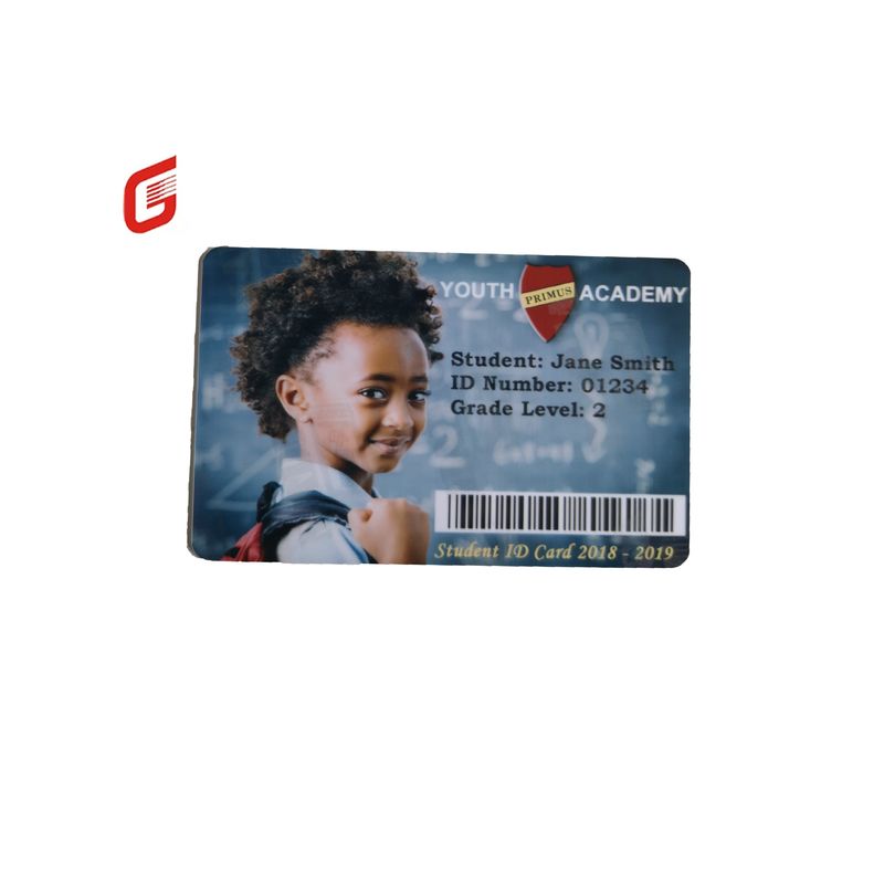 Zebra 800300-562 CN Parelsilver Anti-vervalsing lint voor ZC300/ZC100 printer
